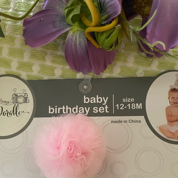 ππΈππBaby 1st Birthday SetπππΈπ - Picture 2 of 6